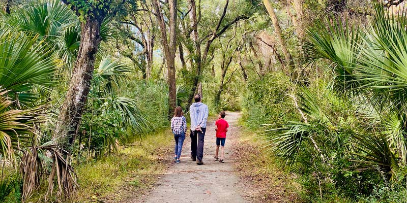 Camper submitted image from Edisto Beach State Park Campground