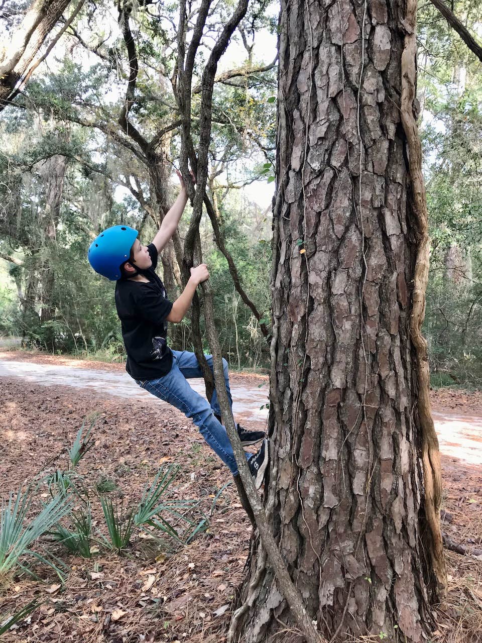 Camper-submitted photo at Edisto Beach State Park Campground near Huger, SC