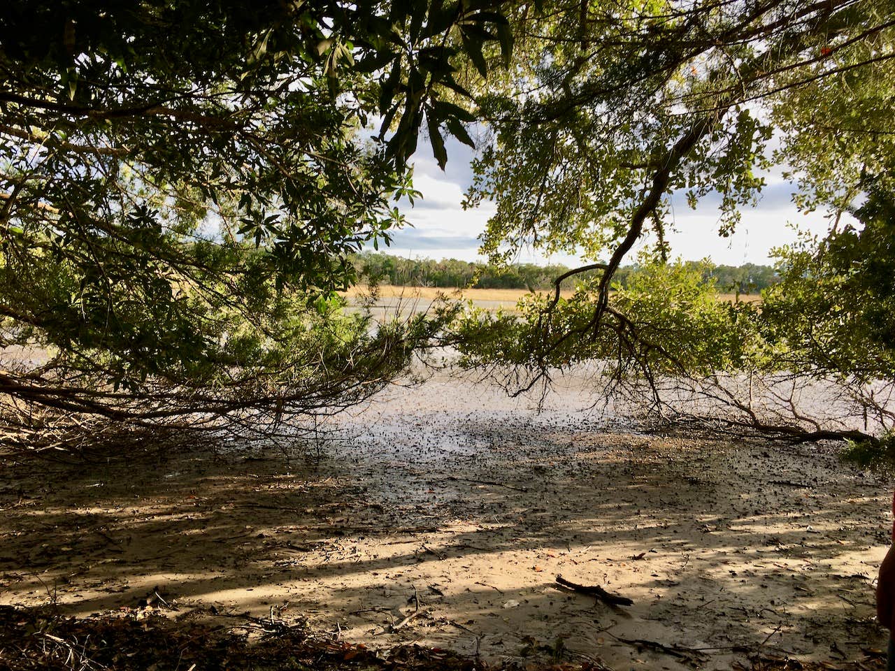 Camper-submitted photo at Edisto Beach State Park Campground near Huger, SC