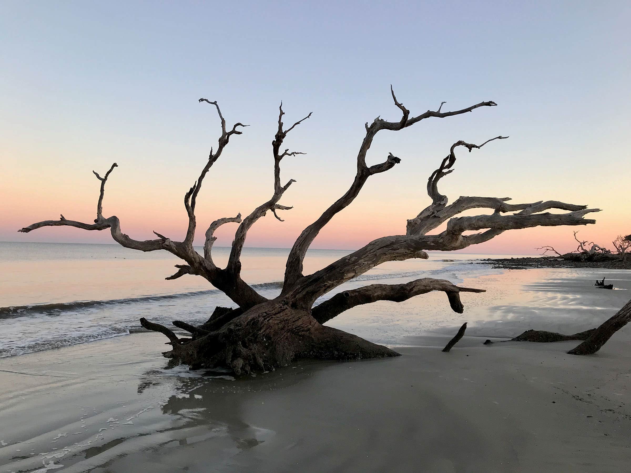 Camper submitted image from Jekyll Island Campground - 1