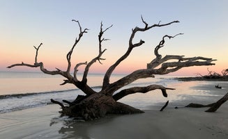 Camper-submitted photo from Jekyll Island Campground