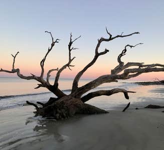 Camper-submitted photo from Jekyll Island Campground