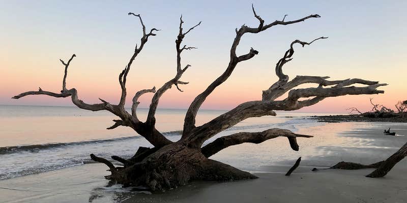 Camper submitted image from Jekyll Island Campground
