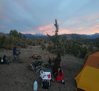 Camper-submitted photo from Cosmic Campground