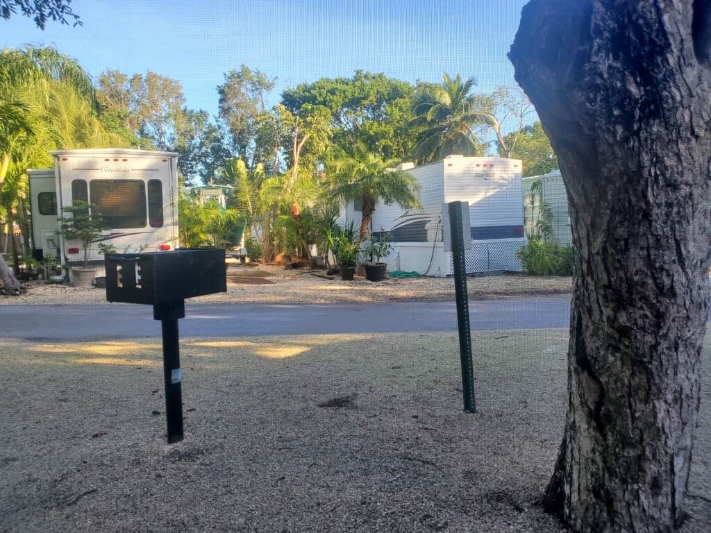 Camper submitted image from Key Largo Kampground & Marina - 1