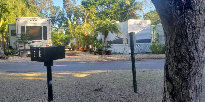 Camper submitted image from Key Largo Kampground & Marina