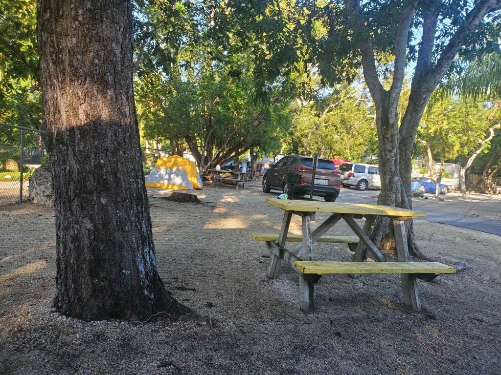 Key Largo Kampground & Marina Camping Key Largo, FL