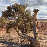 Review photo of Dispersed Camping Outside of Moab - Sovereign Lands by Bailey A., December 14, 2020