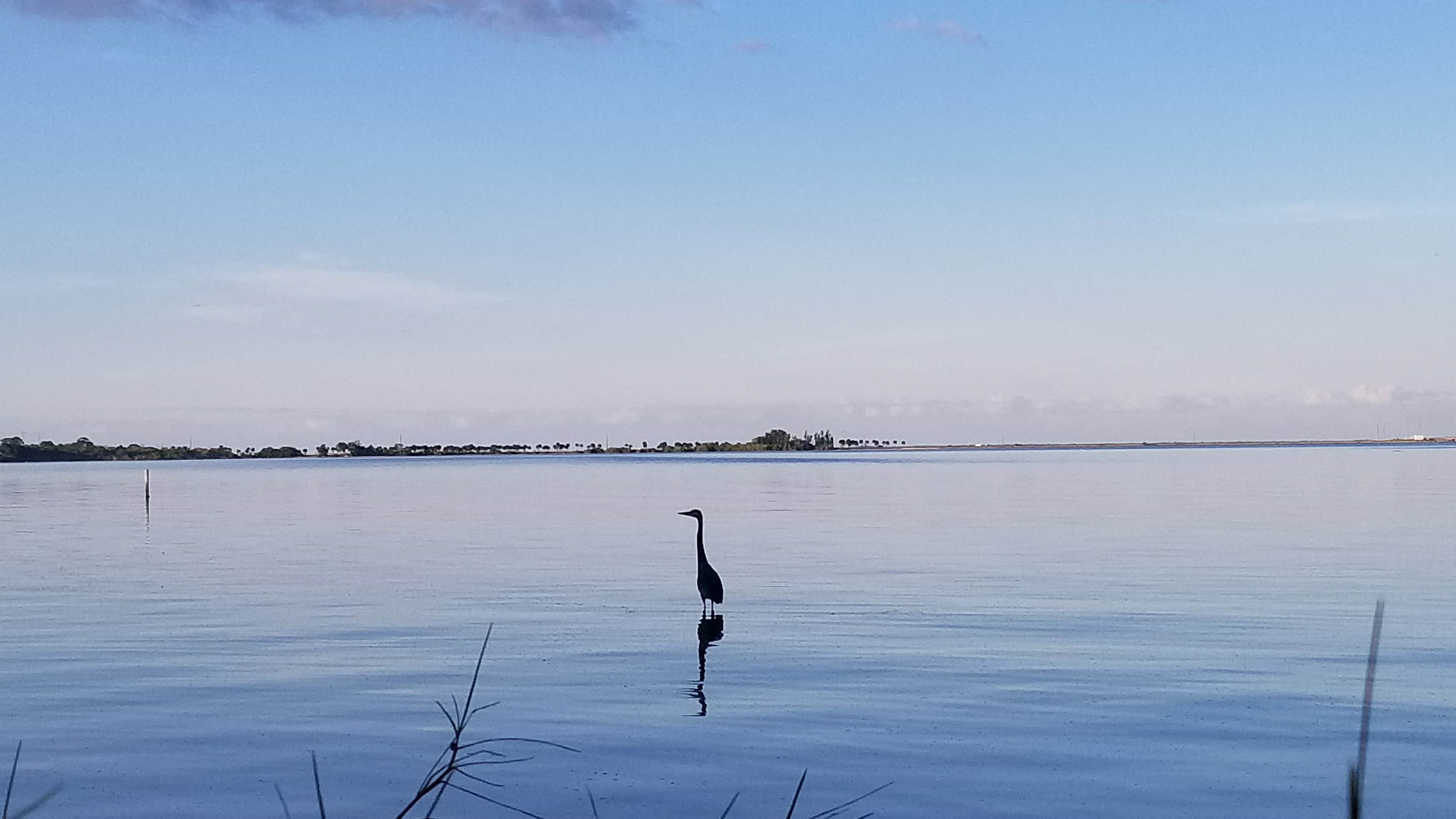 Camper-submitted photo at Manatee Hammock Campground near Titusville, FL