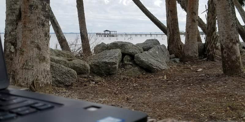 Camper submitted image from Manatee Hammock Campground