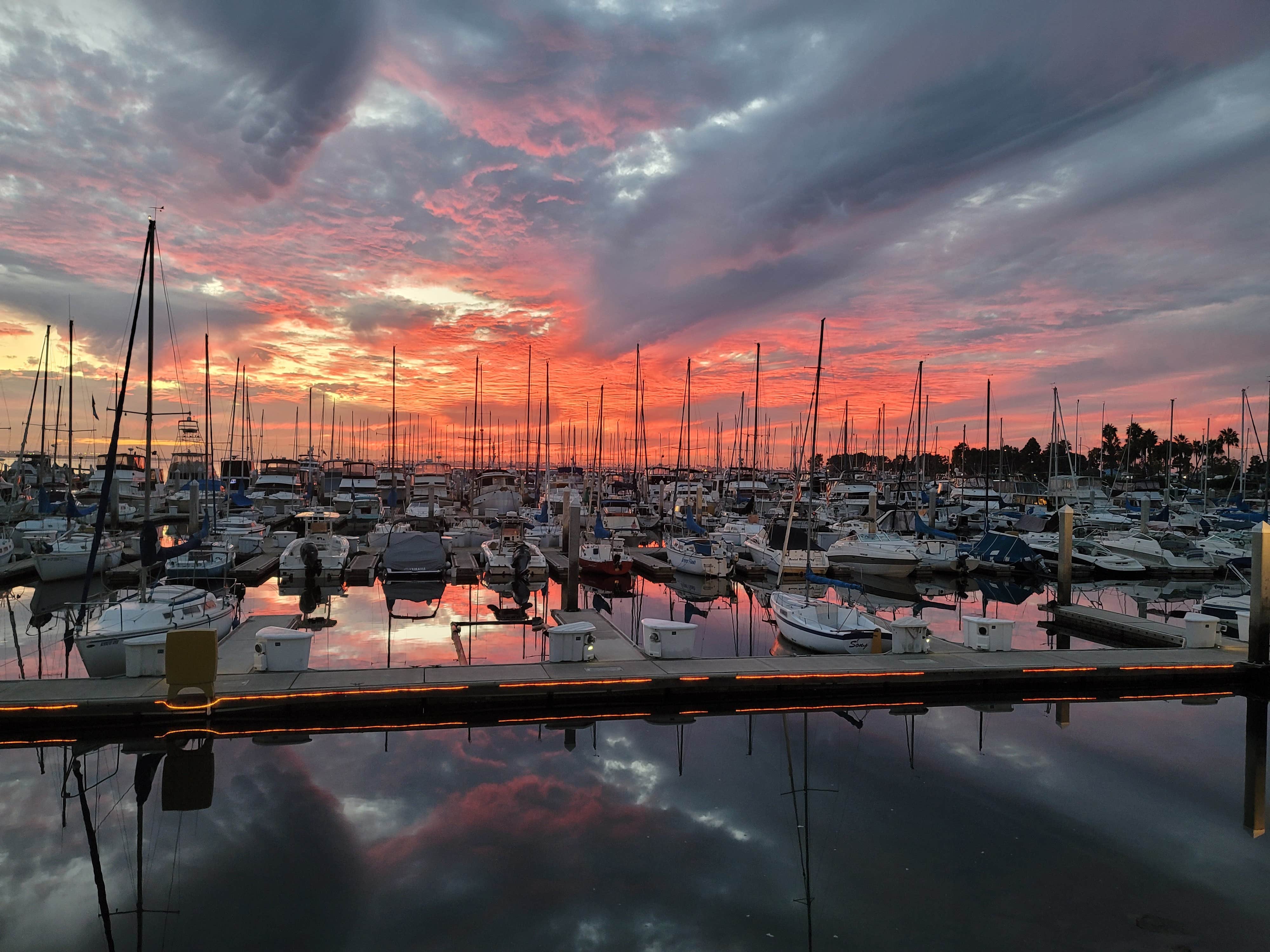 Camper submitted image from Sun Outdoors San Diego Bay - 2