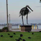 Review photo of Sun Outdoors San Diego Bay by Sherrie R., December 14, 2020
