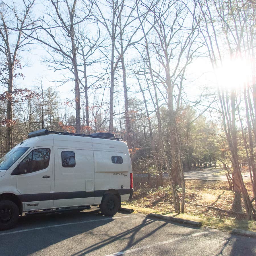 Trout Pond Recreation Area Camping Lost city, WV