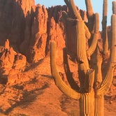 Review photo of Lost Dutchman State Park Campground by Lisa S., December 15, 2020