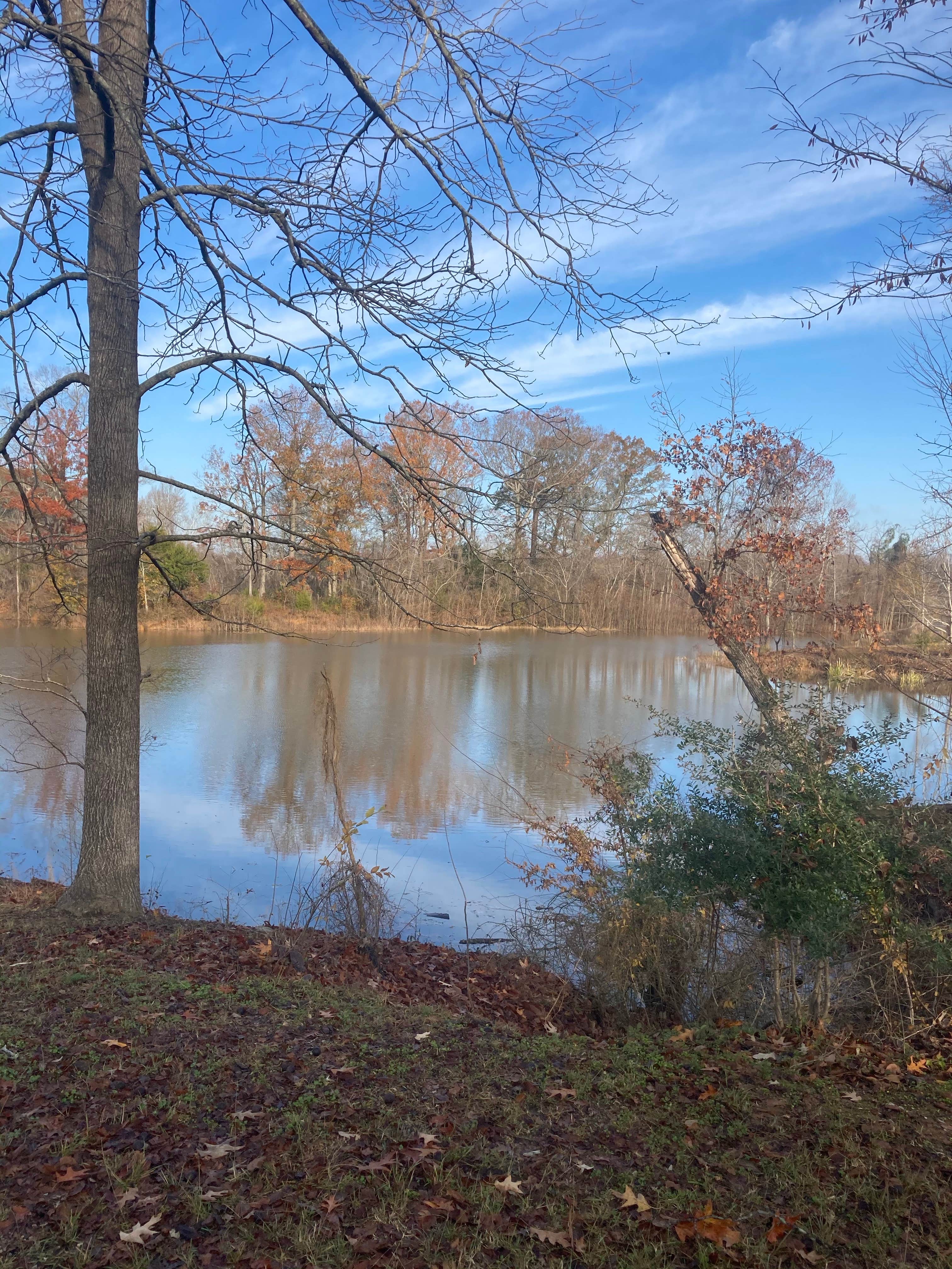 Camper submitted image from COE Demopolis Lake Foscue Creek Campground - 1