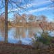 COE Demopolis Lake Foscue Creek Campground