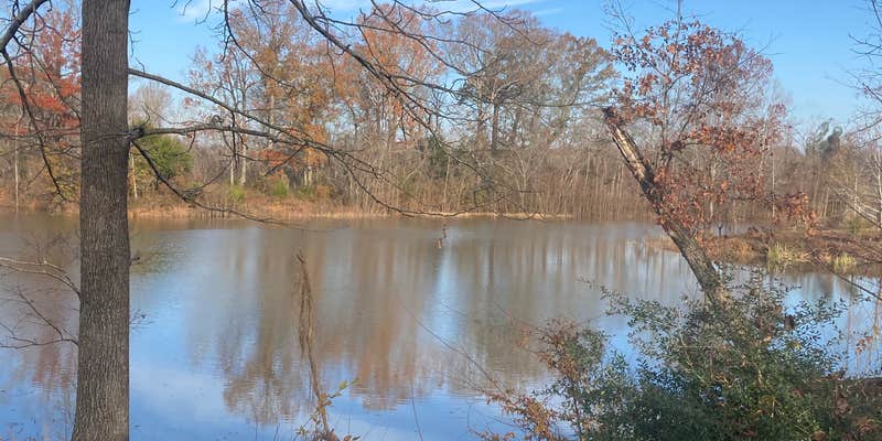 Camper submitted image from COE Demopolis Lake Foscue Creek Campground