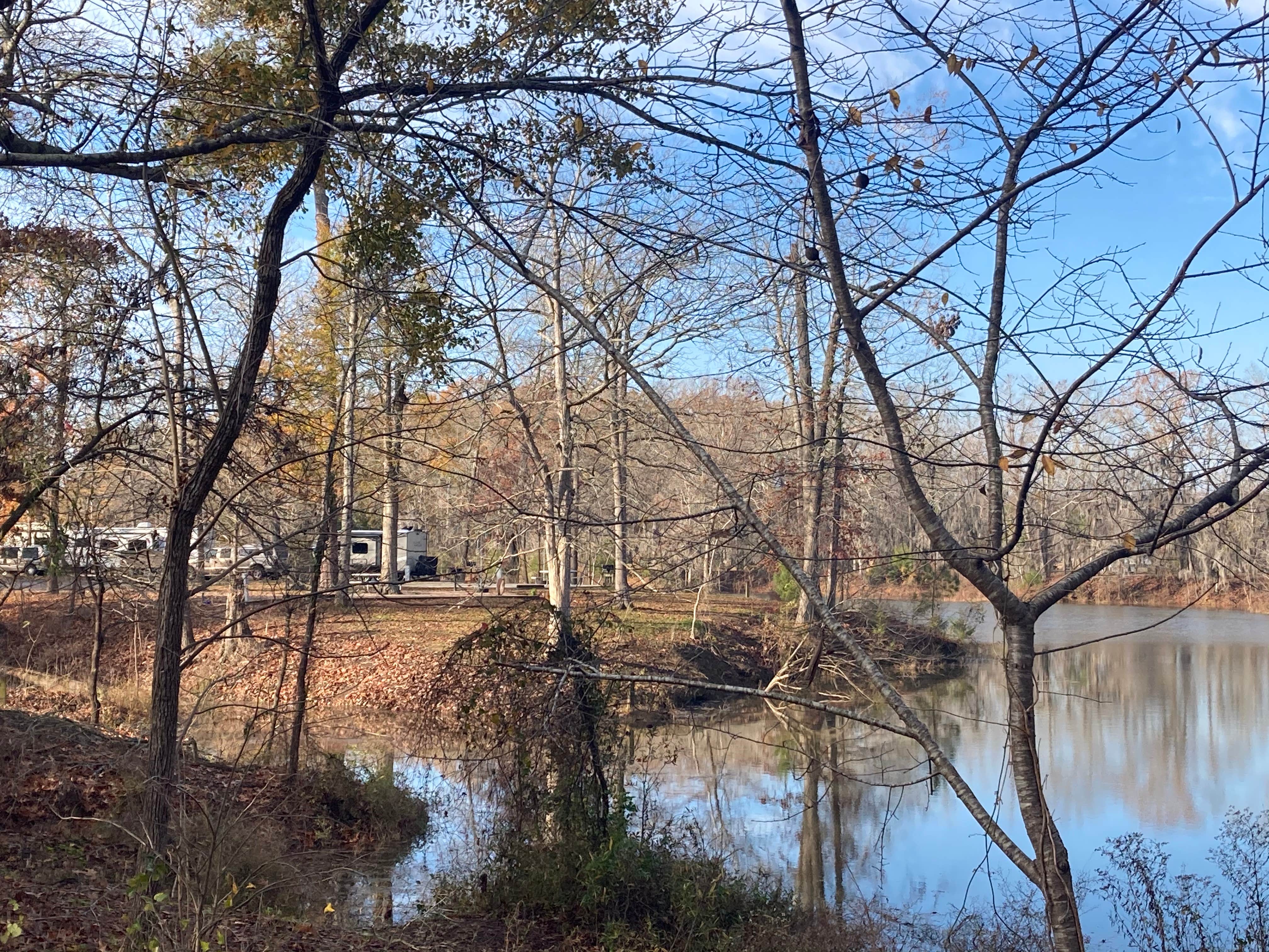 Camper submitted image from COE Demopolis Lake Foscue Creek Campground - 3