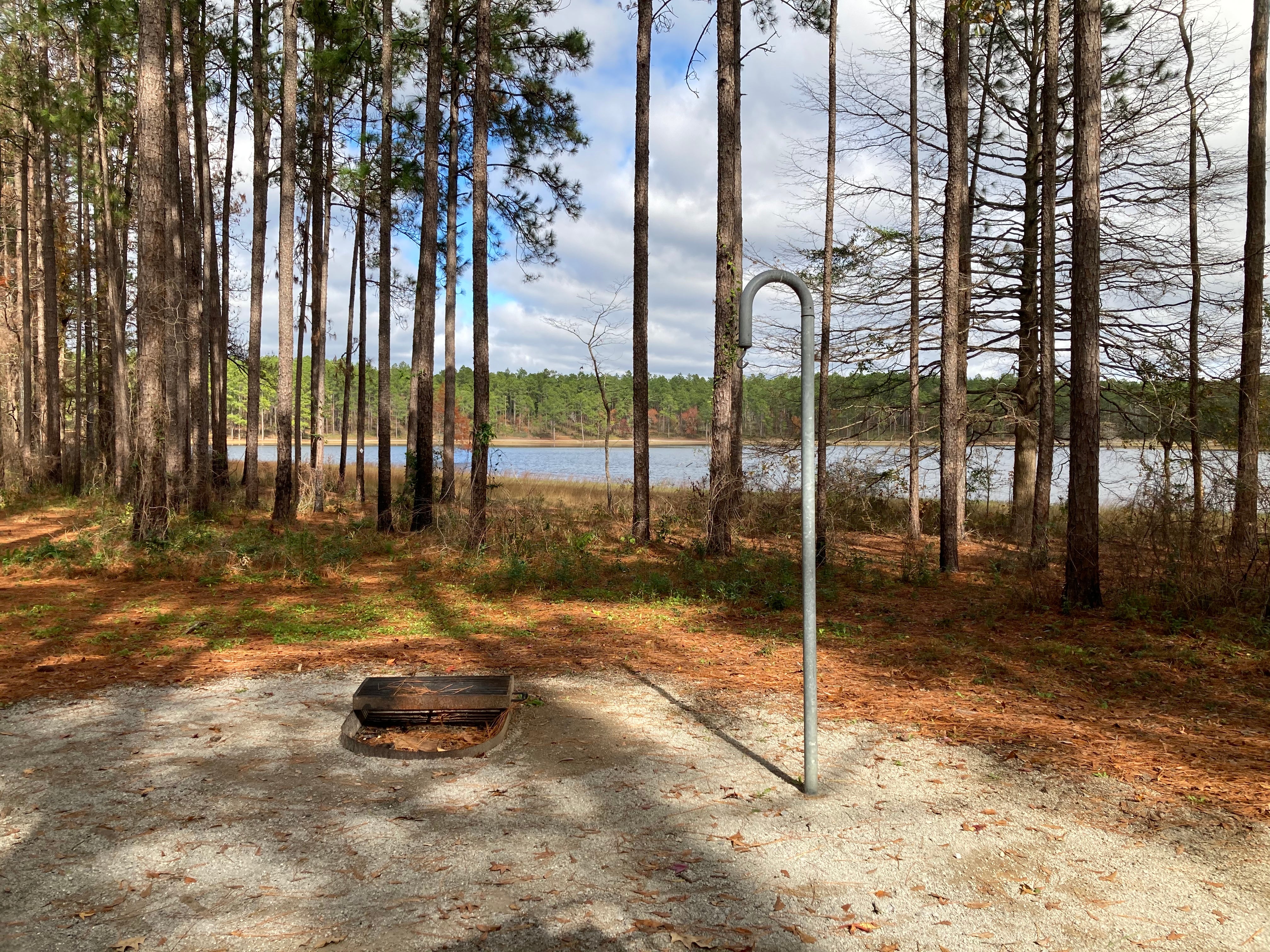 Camper submitted image from Open Pond Recreation Area - 1
