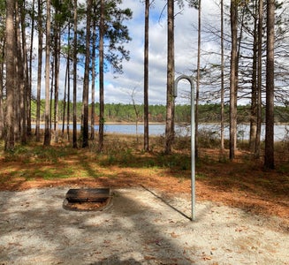 Camper-submitted photo from Open Pond Recreation Area