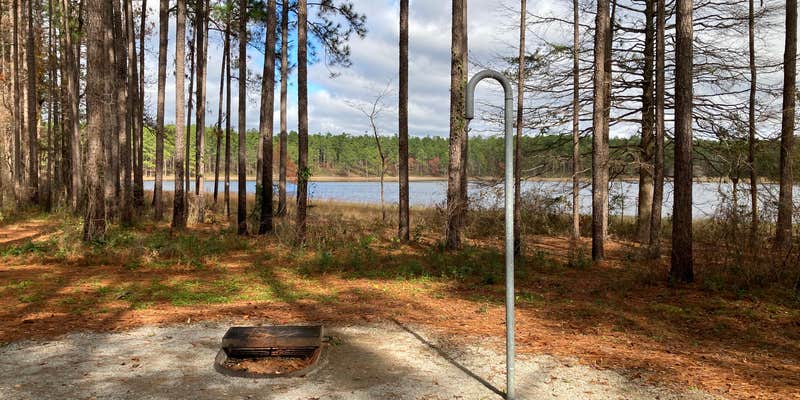 Camper submitted image from Open Pond Recreation Area