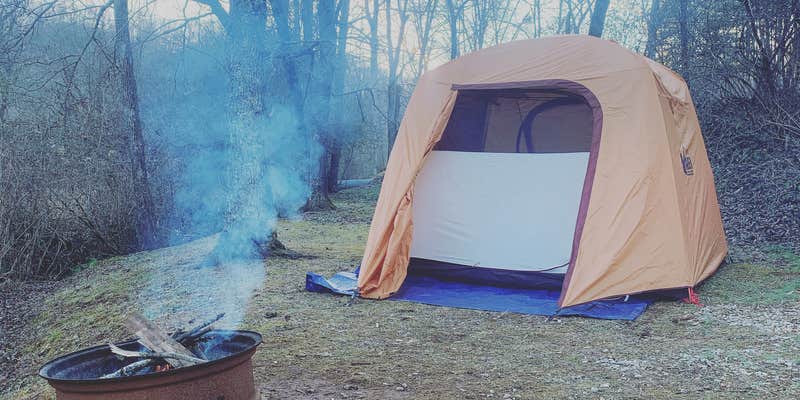 Camper submitted image from Pines RV Park and Cabins