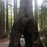 Review photo of Burlington Campground — Humboldt Redwoods State Park by Rachel A., December 15, 2020