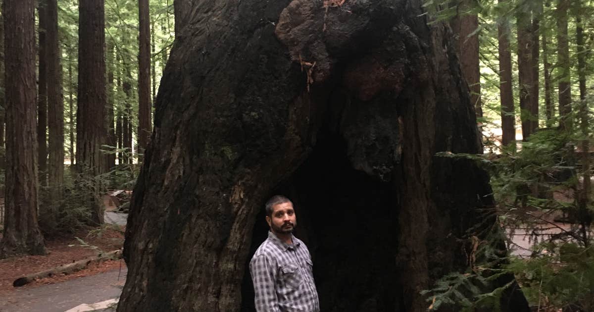 Burlington Campground — Humboldt Redwoods State Park