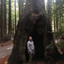 Burlington Campground — Humboldt Redwoods State Park