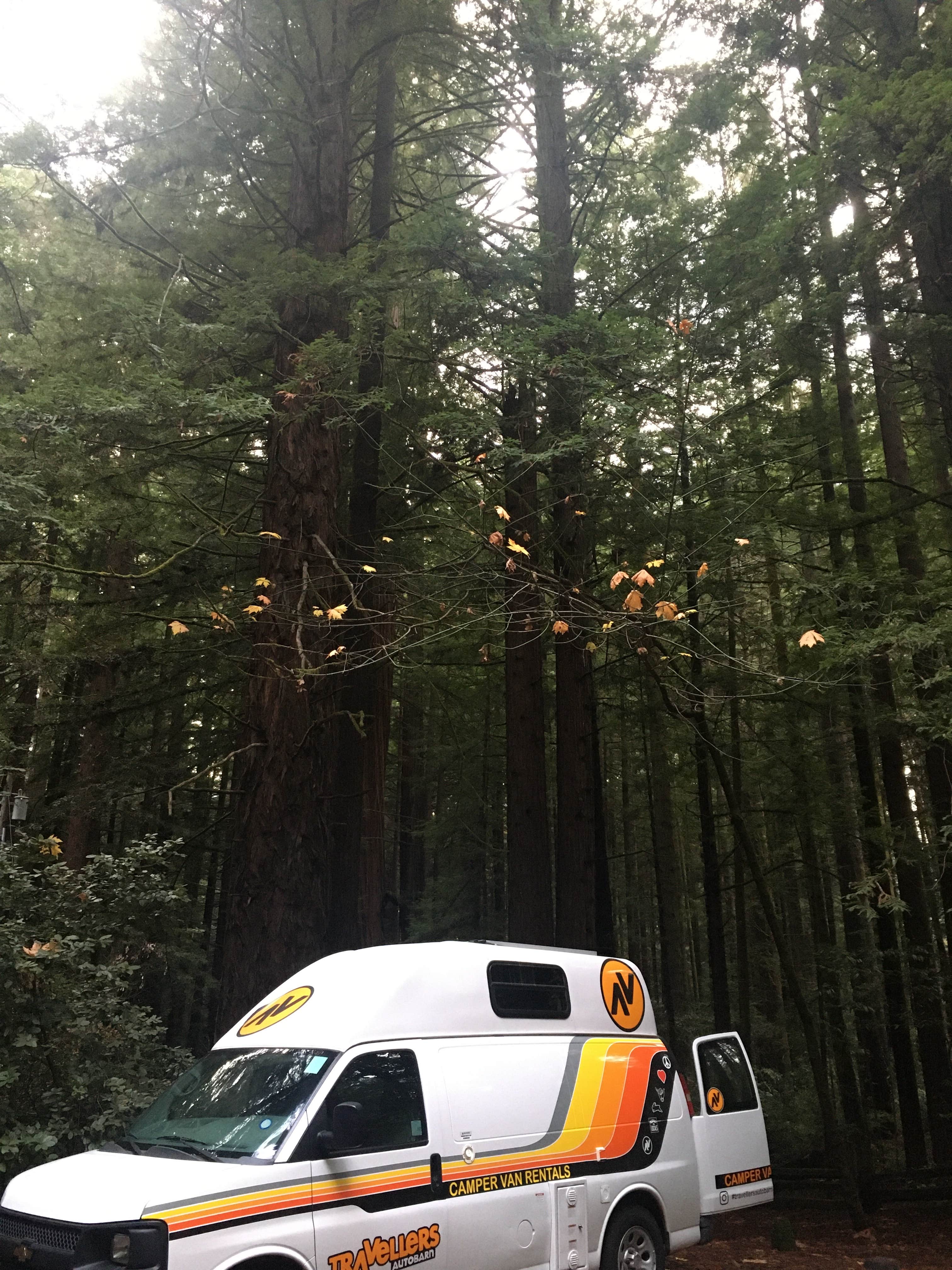 Rachel A.'s photo of rv camping at Burlington Campground — Humboldt Redwoods State Park near Weott, CA