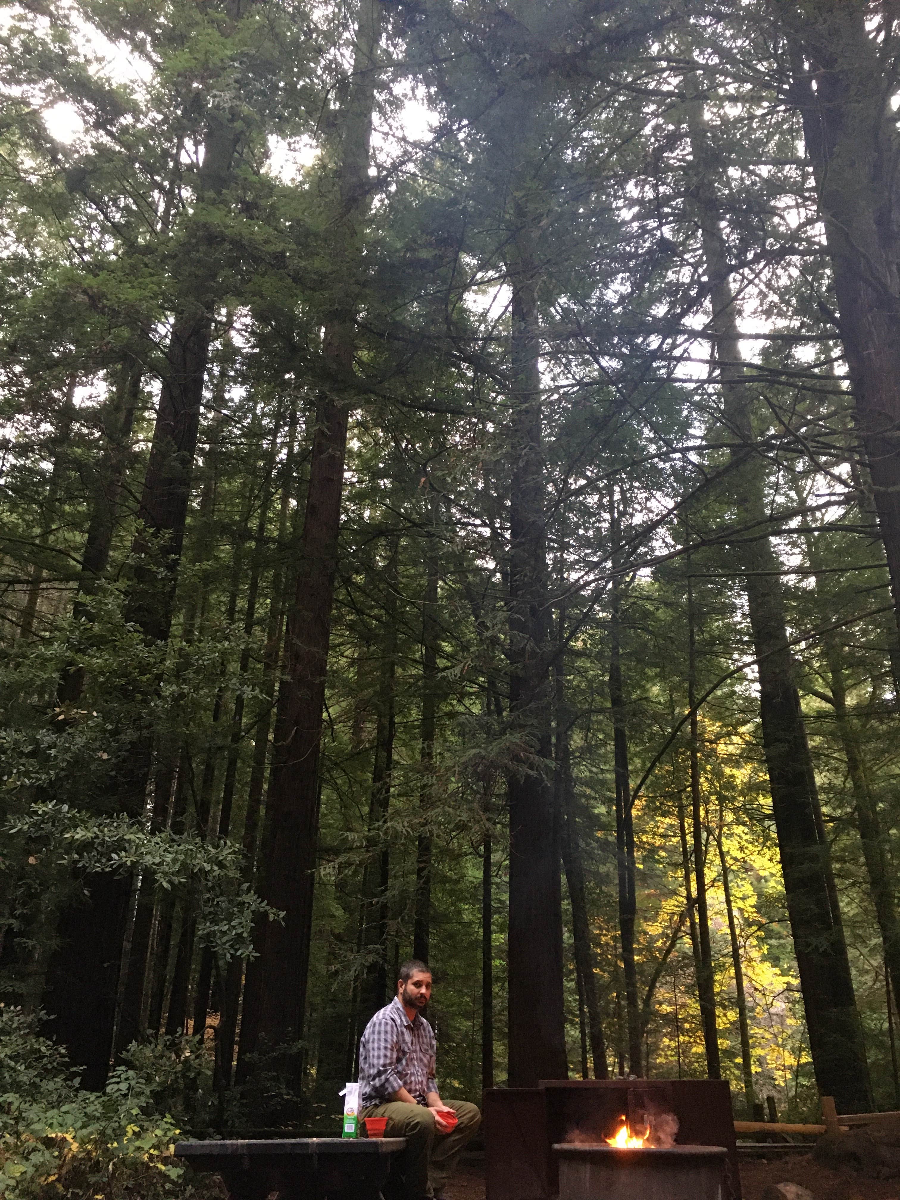 Camper-submitted photo at Burlington Campground — Humboldt Redwoods State Park near Bridgeville, CA