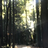 Review photo of Burlington Campground — Humboldt Redwoods State Park by Rachel A., December 15, 2020