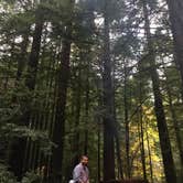 Review photo of Burlington Campground — Humboldt Redwoods State Park by Rachel A., December 15, 2020