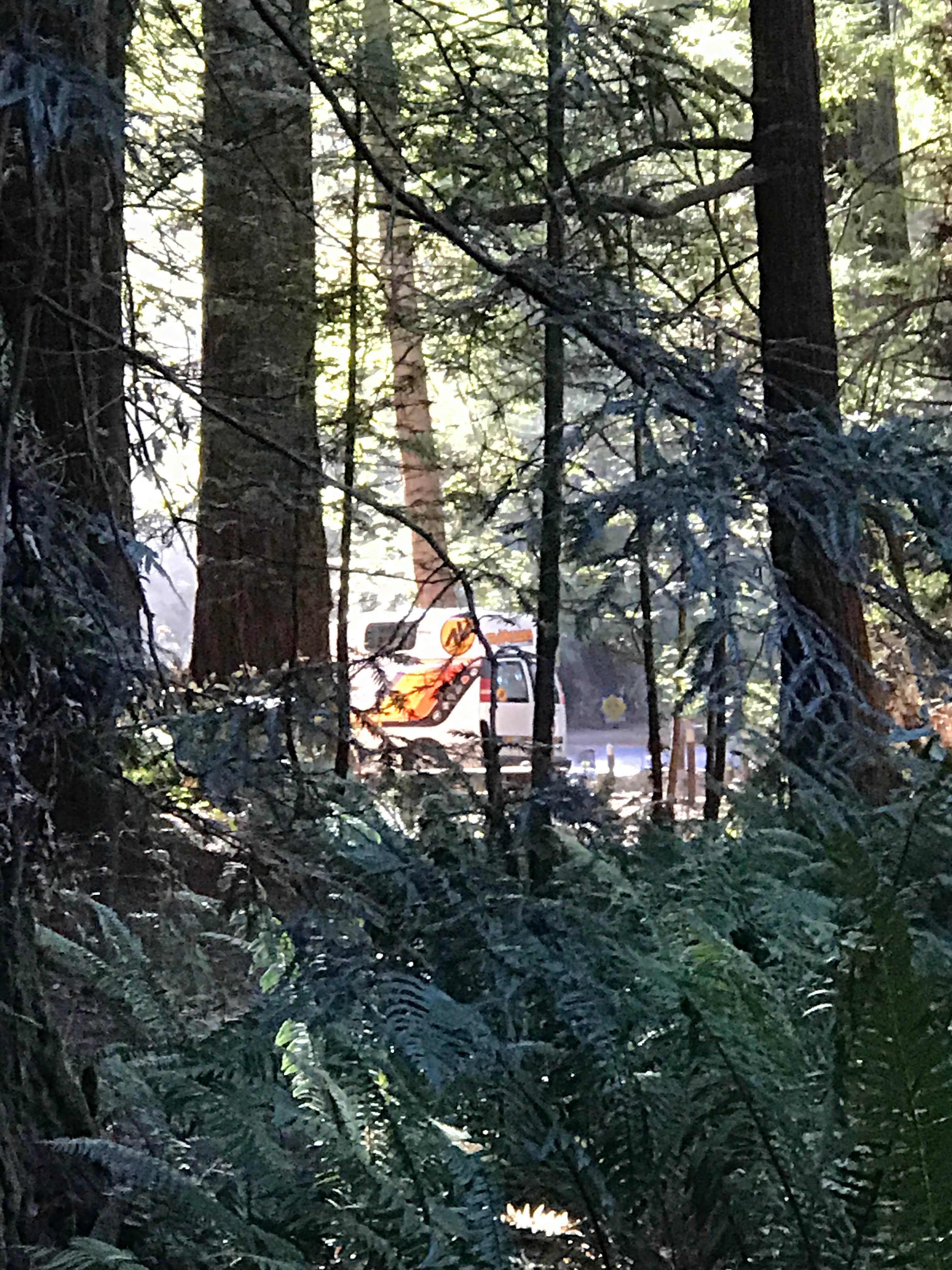 Camper-submitted photo at Gualala River Redwood Park near Gualala, CA