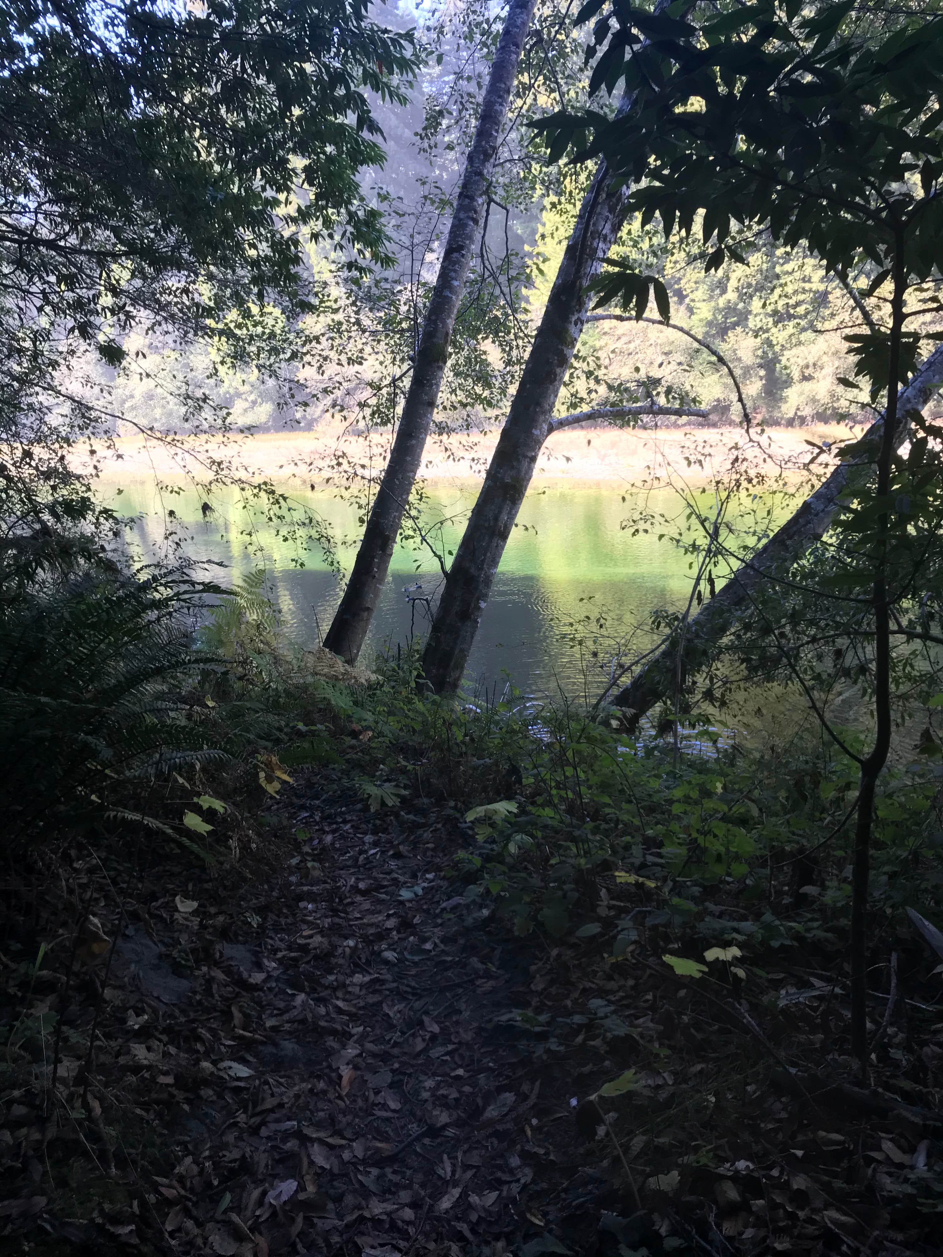 Camper-submitted photo at Gualala River Redwood Park near Gualala, CA