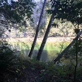 Review photo of Gualala River Redwood Park by Rachel A., December 15, 2020