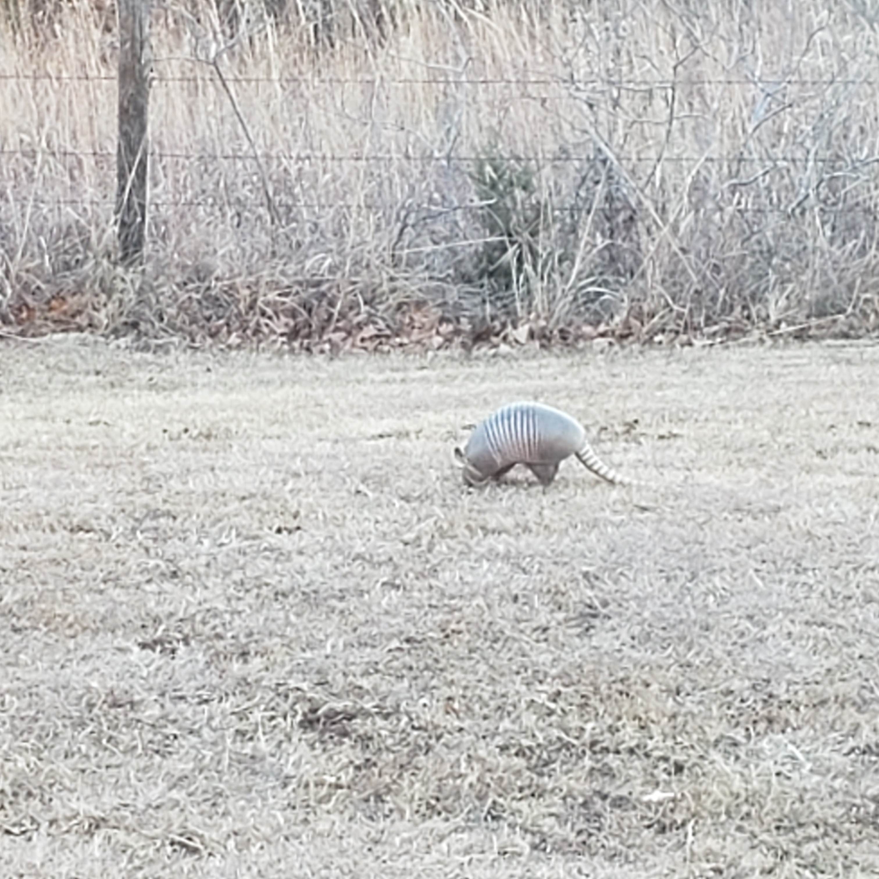 Camper-submitted photo at Lake Carl Blackwell near Enid, OK
