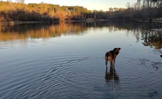 Kelly G.'s photo of camping with pets at Mill Creek (texas) near Big Thicket National Preserve