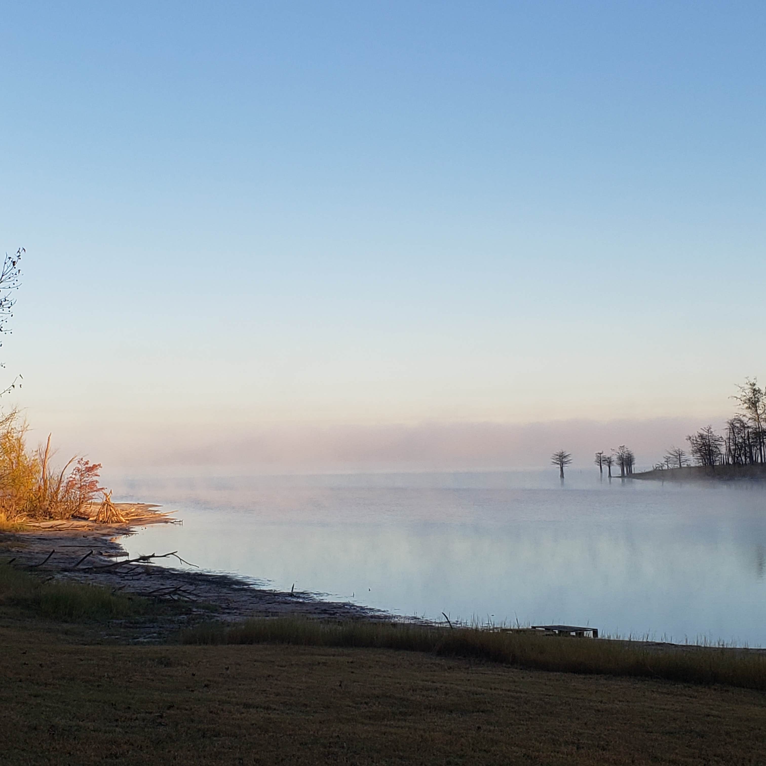 Camper-submitted photo at Mill Creek Park near Angelina National Forest