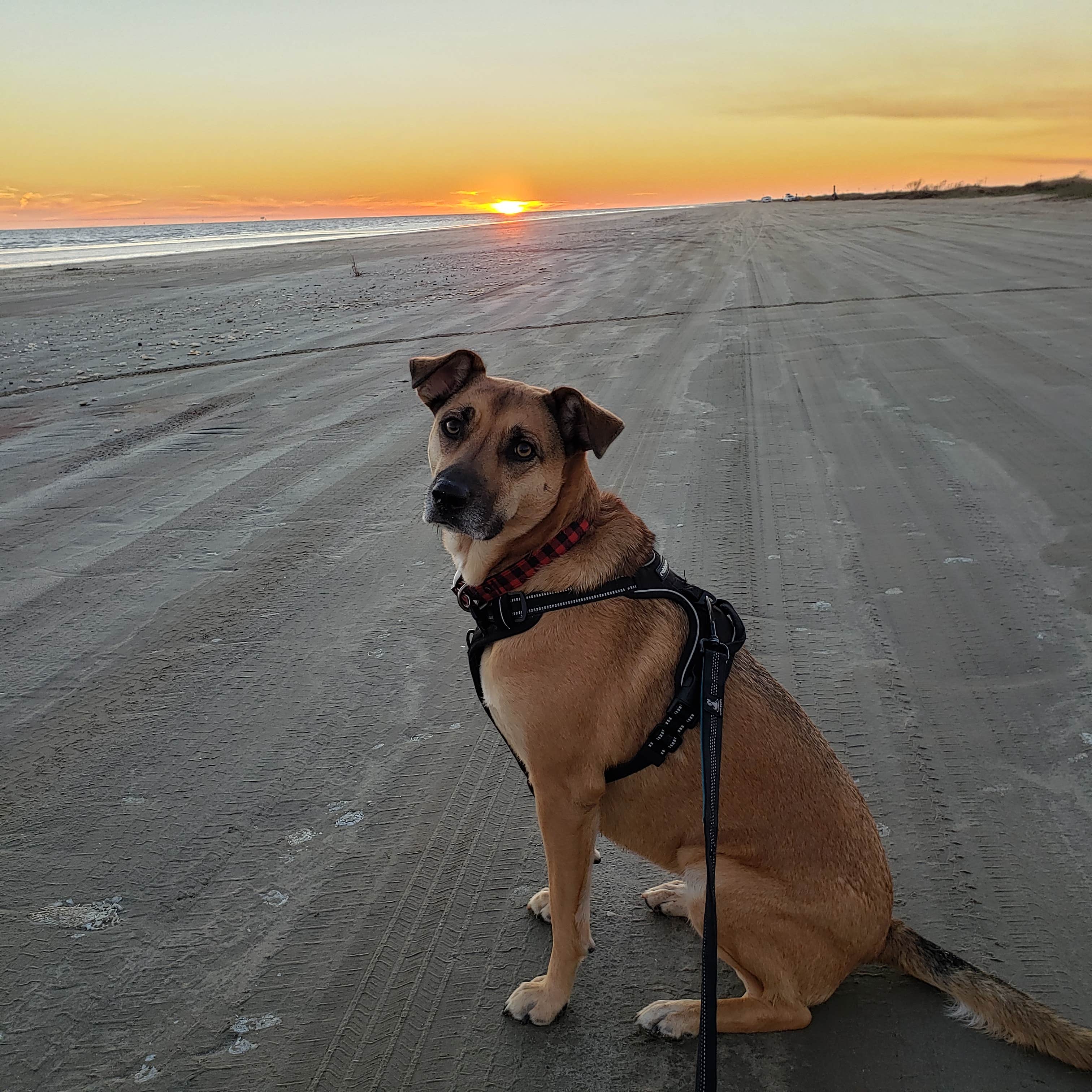 Camper-submitted photo at Sea Rim State Park Campground near Sabine Pass, TX