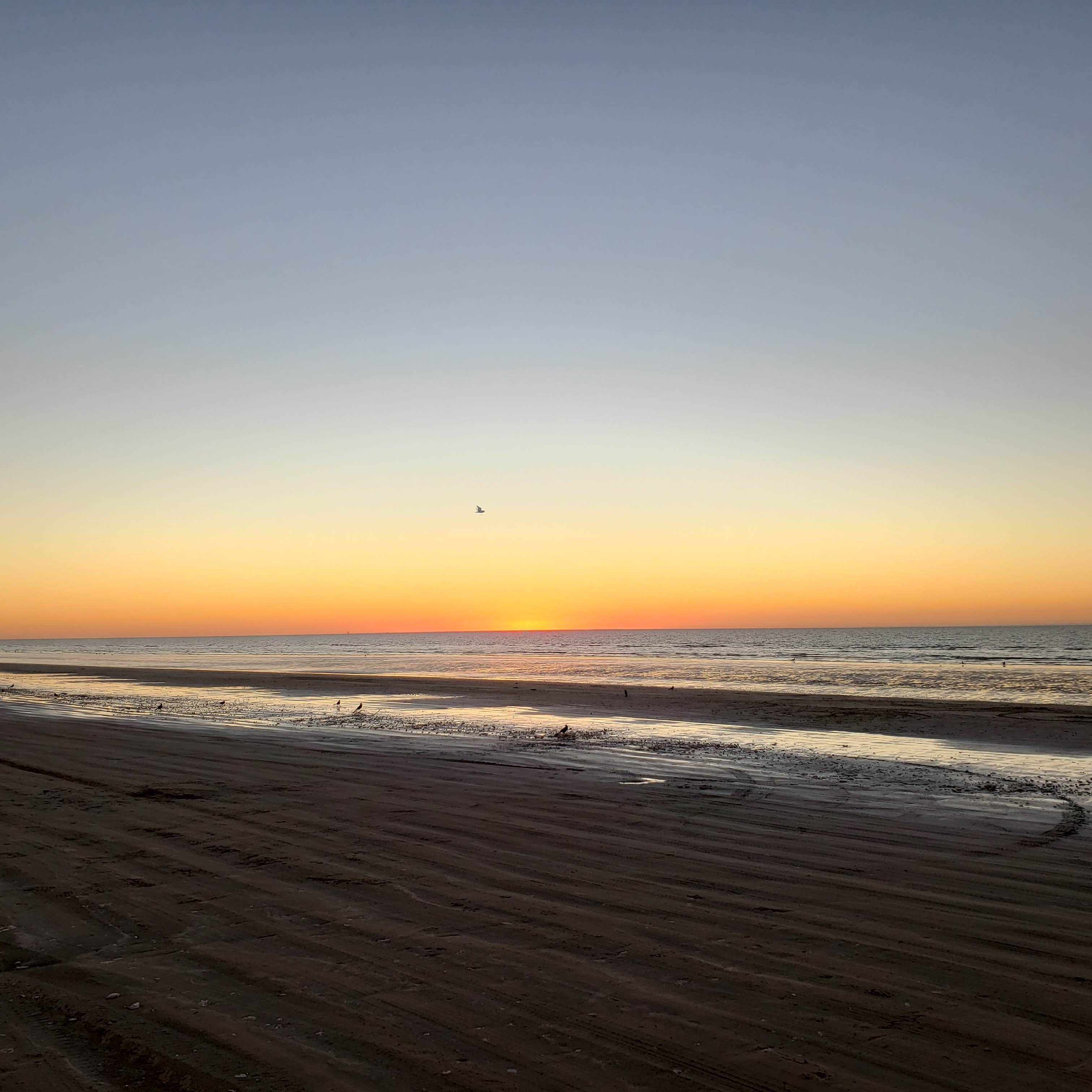 Camper-submitted photo at Sea Rim State Park Campground near Sabine Pass, TX