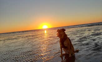 Kelly G.'s photo of camping with pets at Sea Rim State Park Campground near Sabine Pass, TX