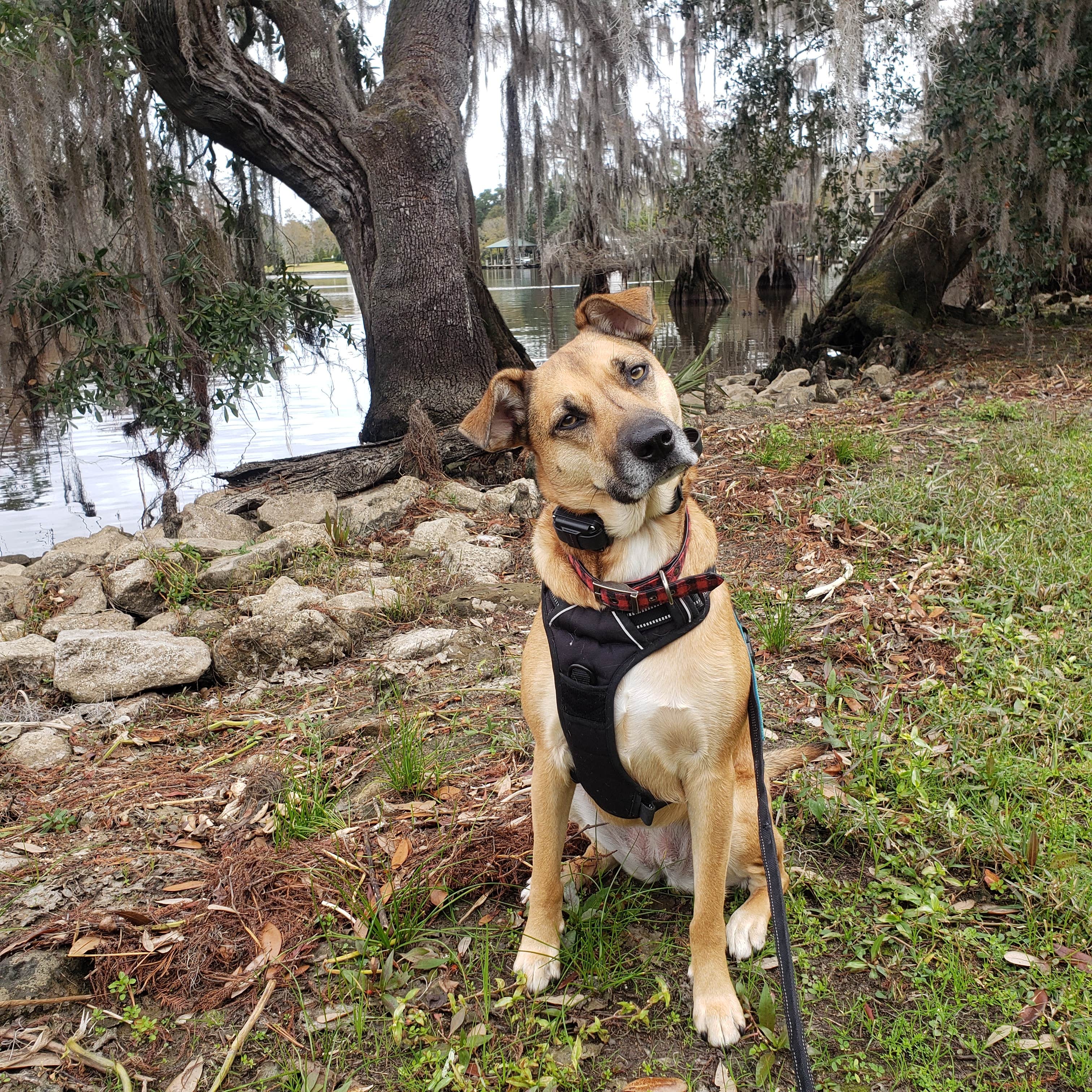 Camper submitted image from Fairview-Riverside State Park - 1