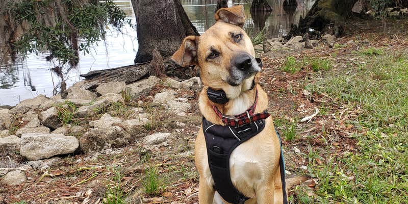 Camper submitted image from Fairview-Riverside State Park