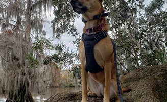 Kelly G.'s photo of camping with pets at Fairview-Riverside State Park near Prairieville, LA