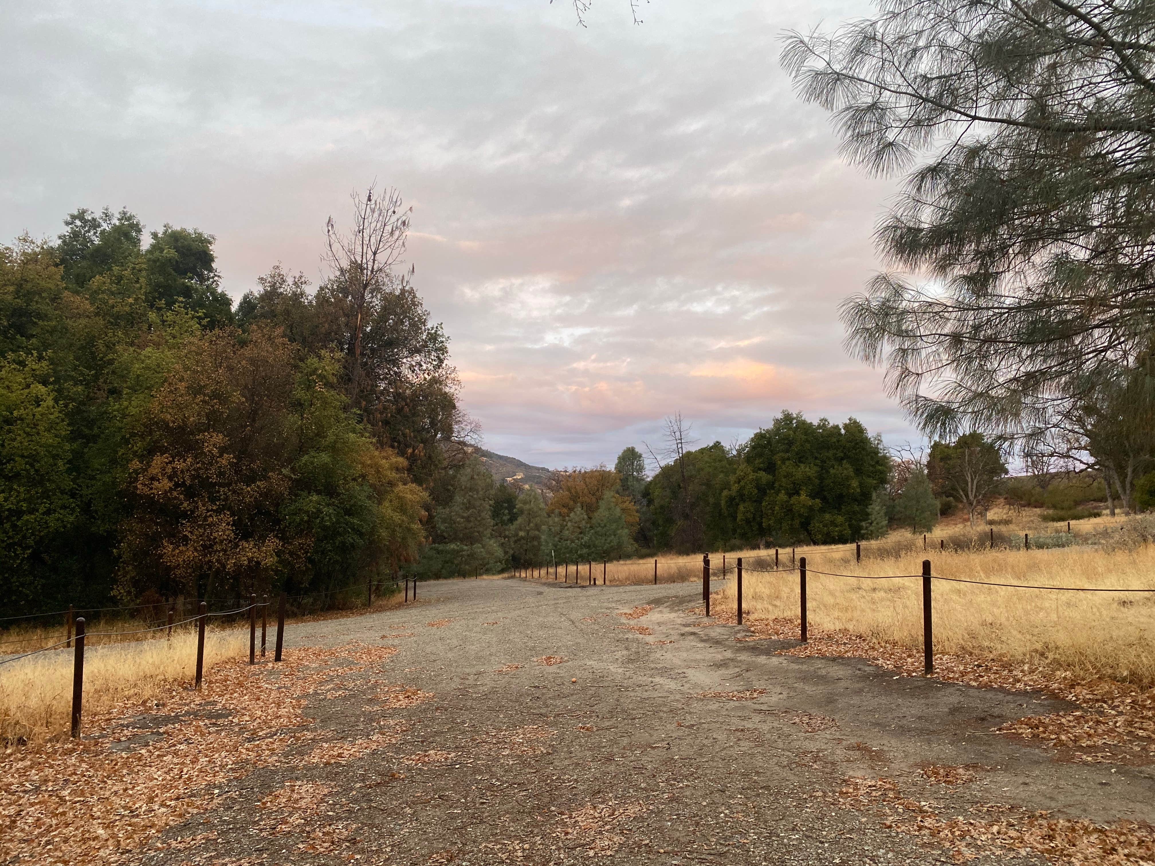 Camper submitted image from Upper Sweetwater Laguna Mountain Campground - 3