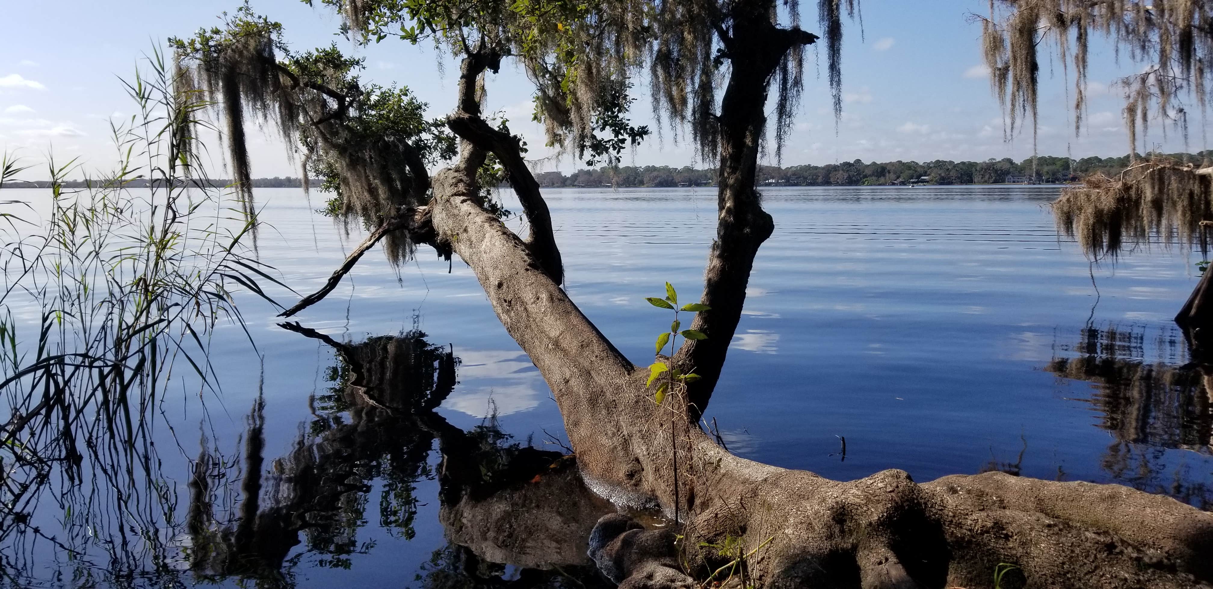 Blue Spring State Park Campground