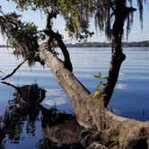 Review photo of Blue Spring State Park Campground by Timothy B., December 16, 2020