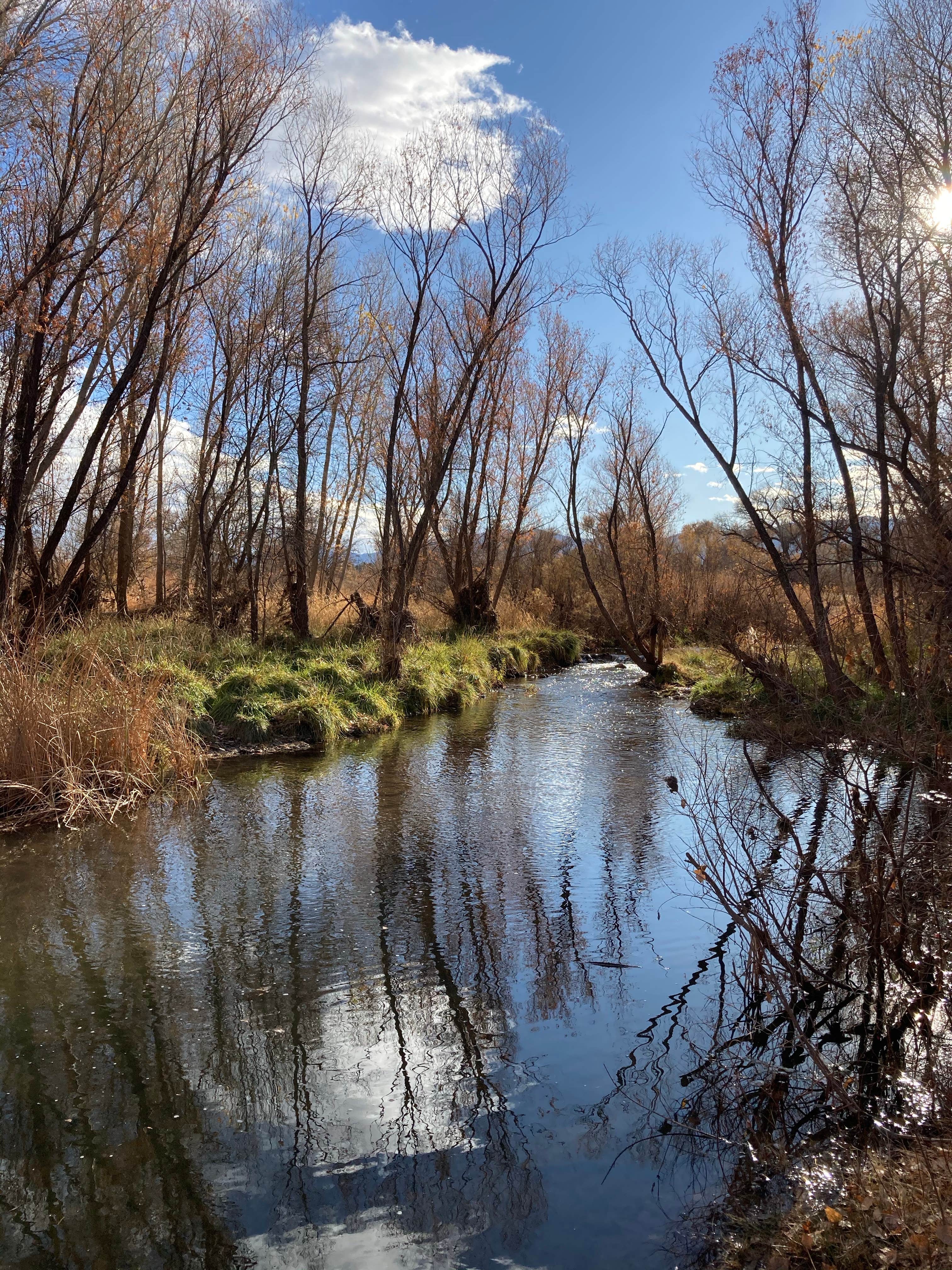 Camper-submitted photo at Dead Horse Ranch State Park Campground near Cottonwood, AZ