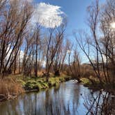 Review photo of Dead Horse Ranch State Park Campground by Katie E., December 17, 2020